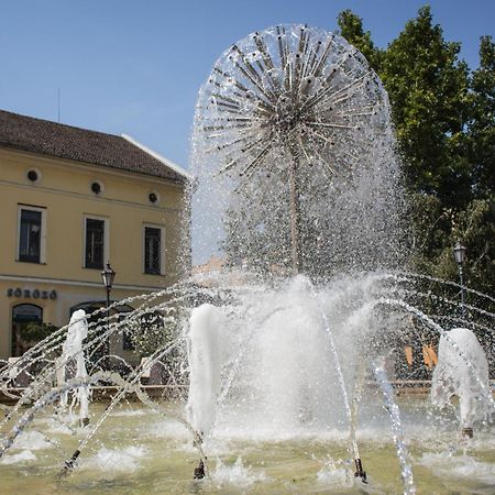 Ferienwohnung Marusius Apartmanhaz Makó Exterior foto